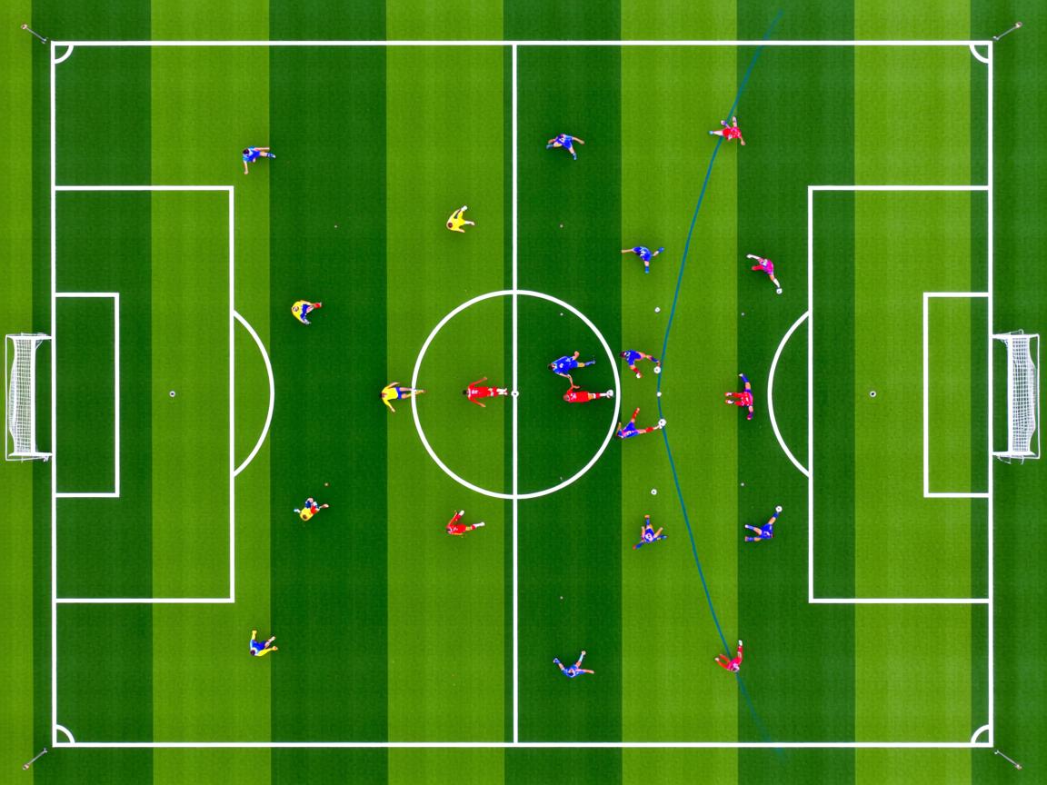 杏彩直播-体育社会组织能力建设大会成功举办,体育社会组织发展历程 第1张