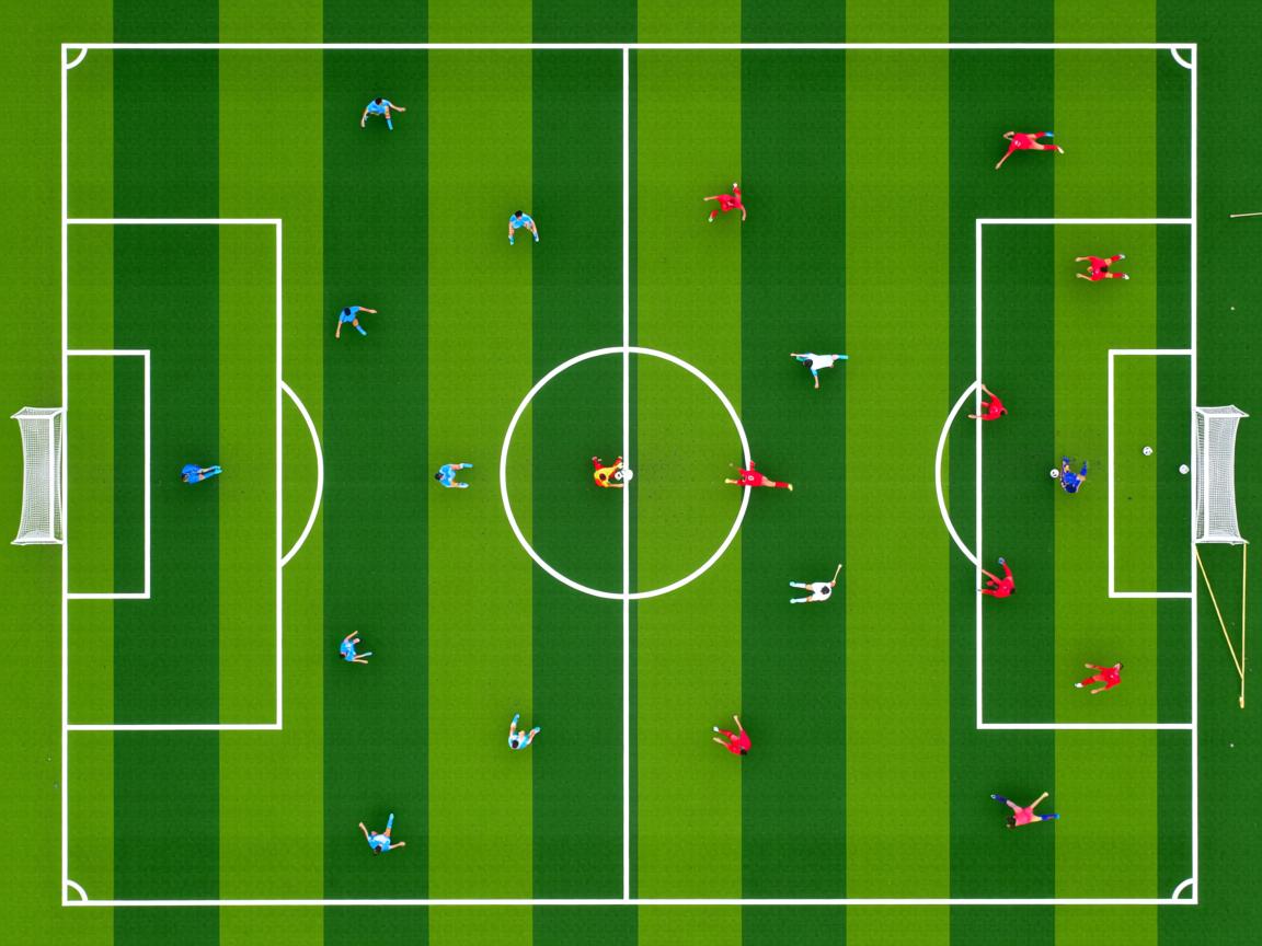 杏彩直播-体育社会组织能力建设大会成功举办,体育社会组织发展历程 第2张