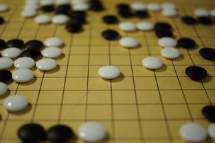 杏彩娱乐-世界围棋赛青年选手战术成熟引热议，2020世界围棋